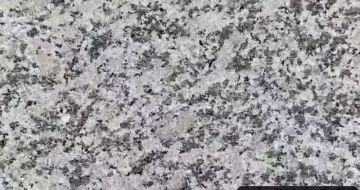 泉州 芙蓉白（芝麻白大花）火烧面