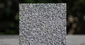 泉州 芝麻黑荔枝面