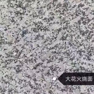 泉州 芙蓉白（芝麻白大花）火烧面