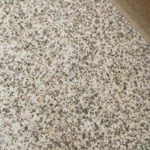 泉州 黄金麻中黄光面