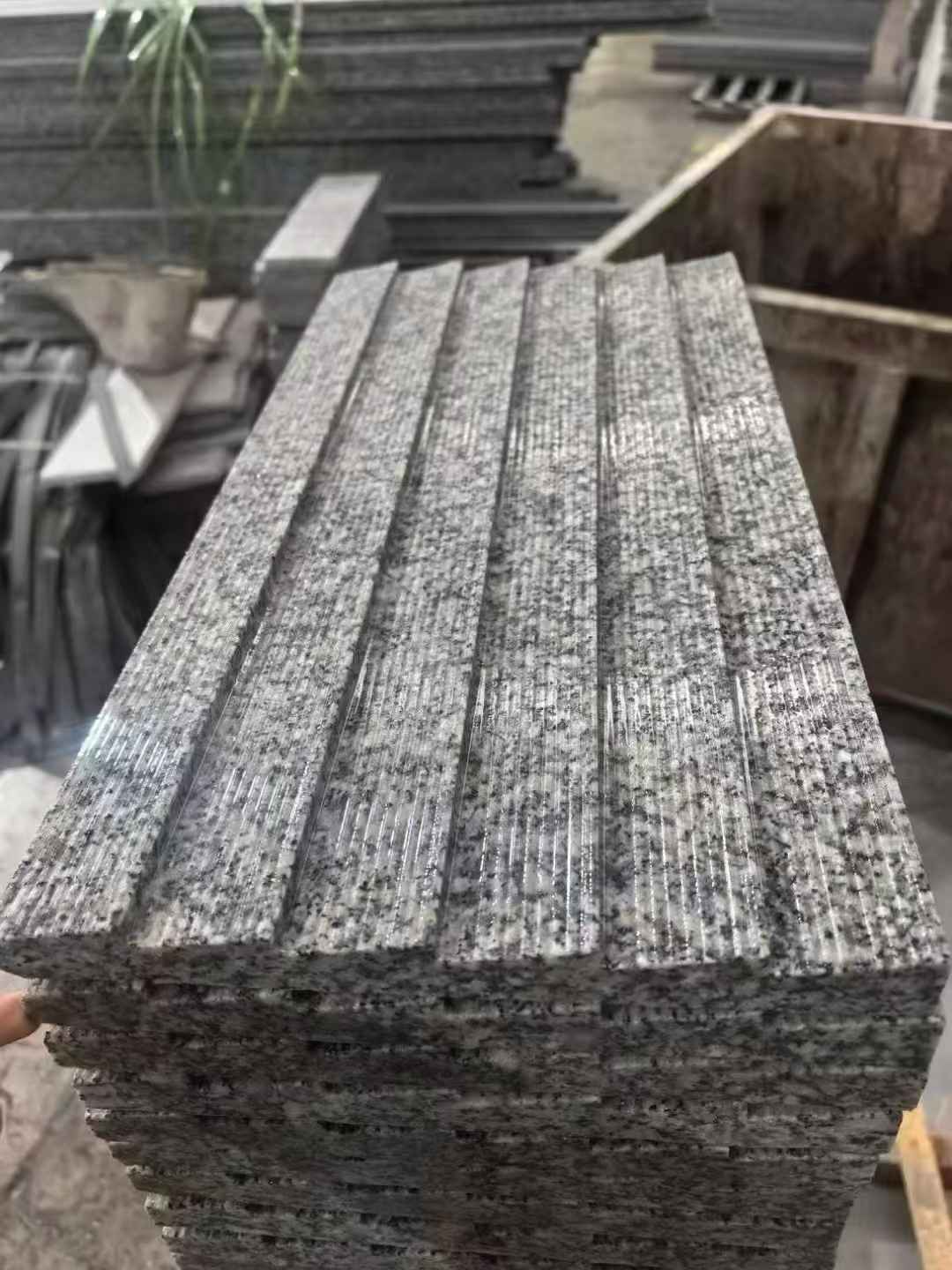 泉州 狼牙石