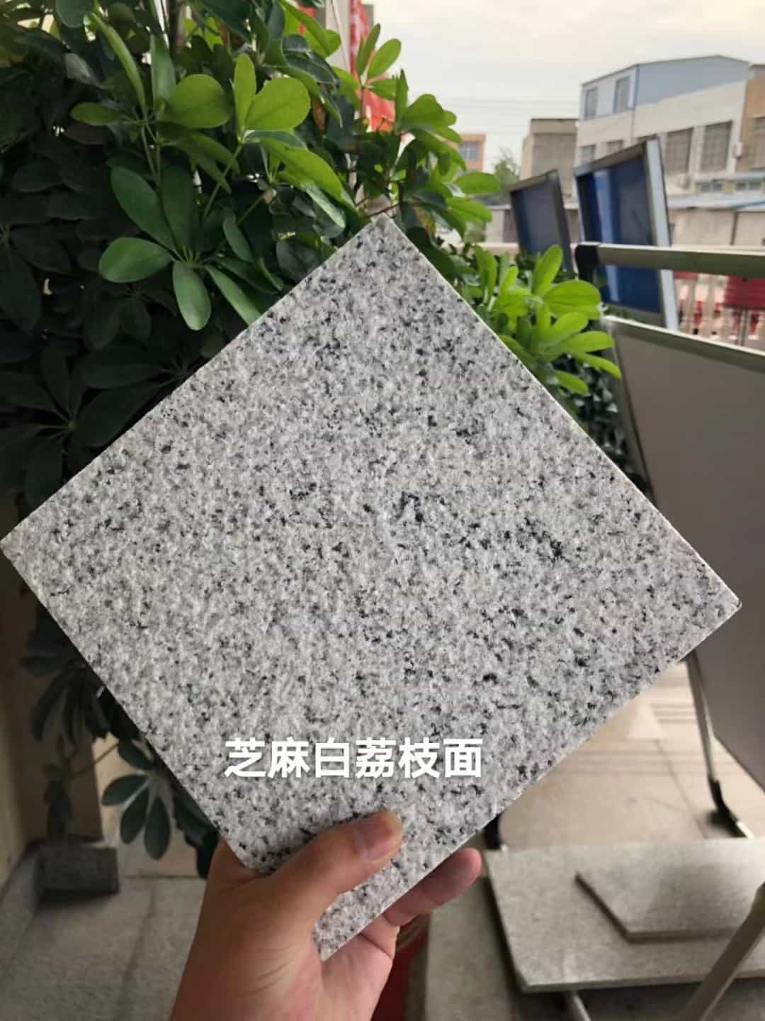 泉州 芝麻白荔枝面干挂