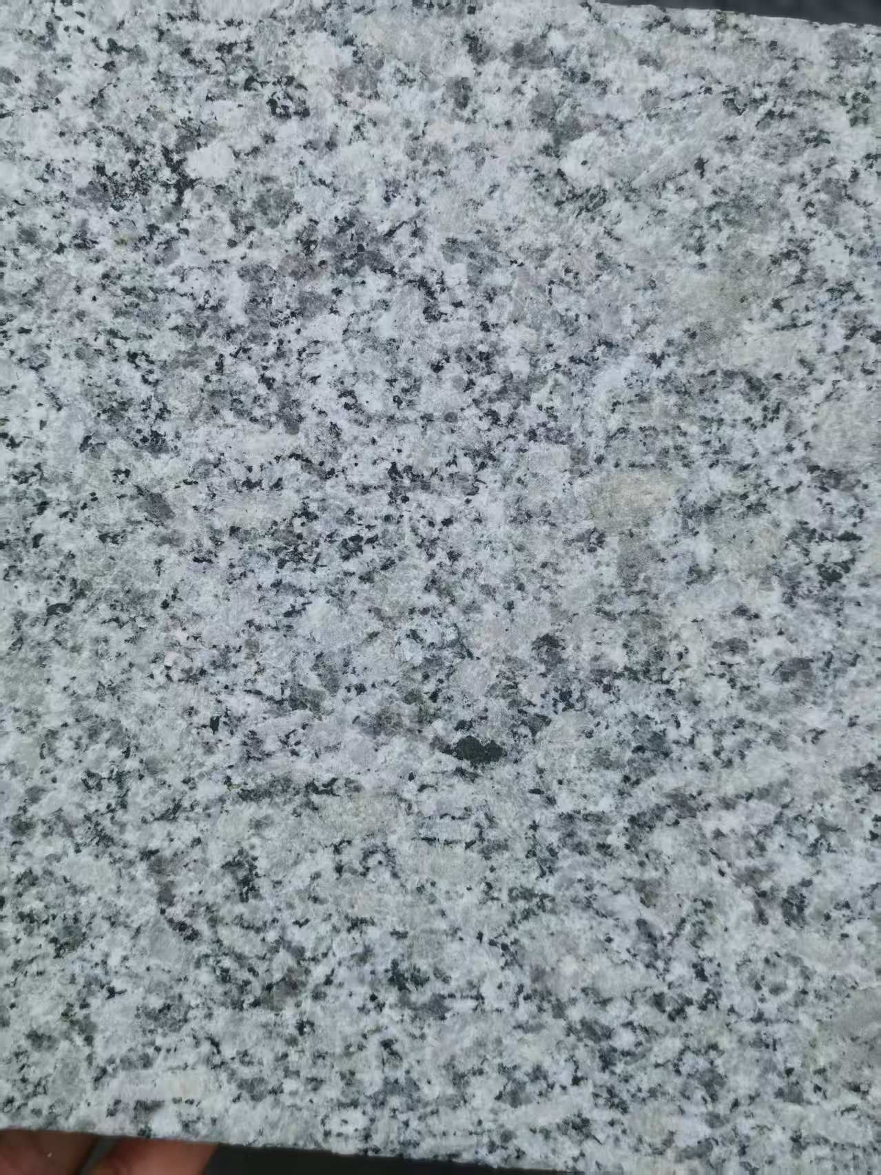 泉州 芙蓉白火烧面