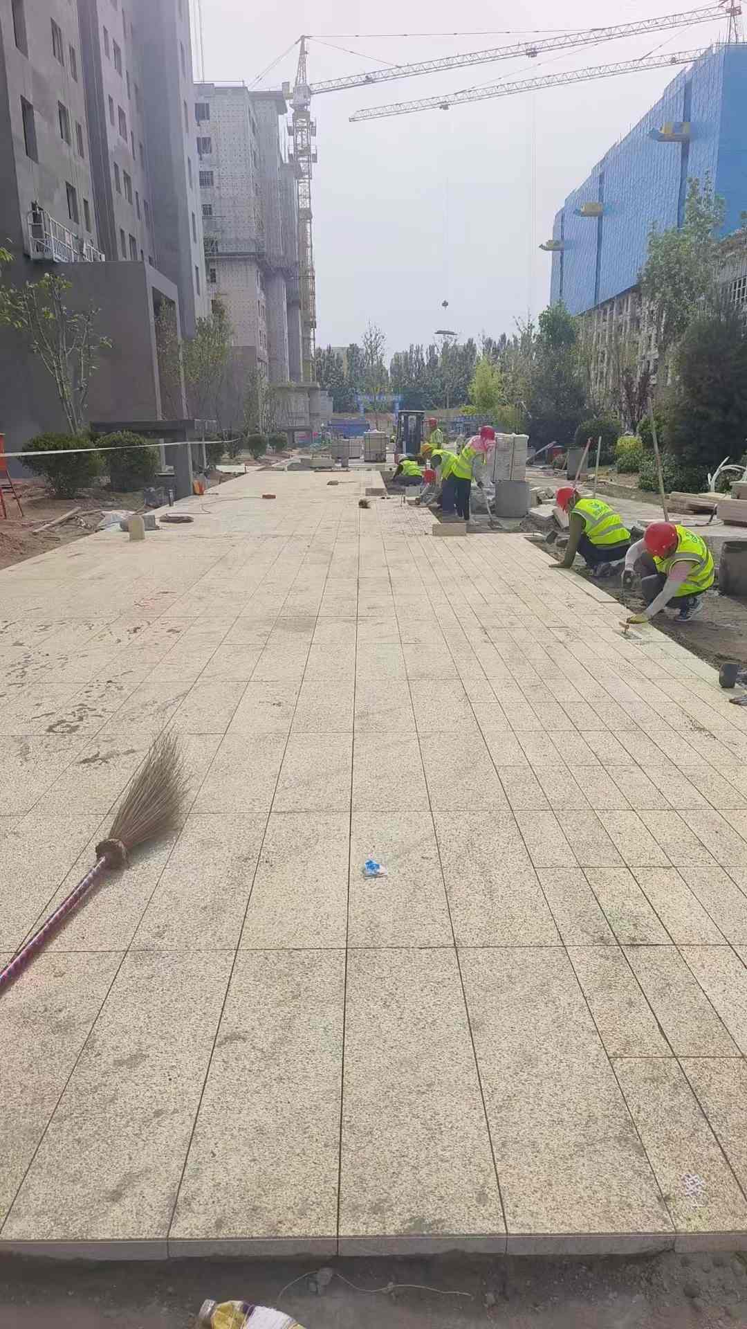 泉州黄金麻荔枝面地铺案例